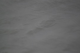 Missing Picture